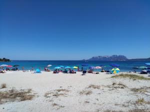 un gruppo di persone seduti su una spiaggia con ombrelloni di Hotel Abbaruja a Olbia