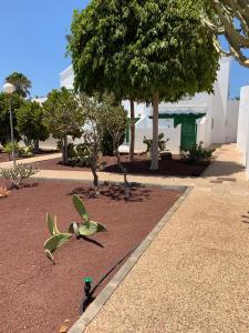 posąg ptaka na ziemi w parku w obiekcie Casa Delores w mieście Playa Blanca