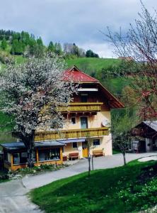 Táj az apartman közelében