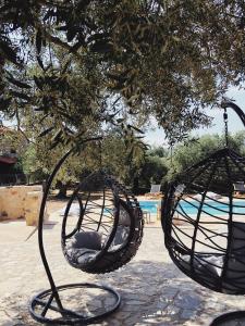deux balançoires suspendues à un arbre près d'une piscine dans l'établissement Villa Gaia, à Monemvasia