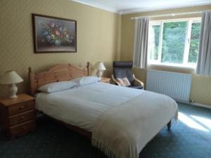 a bedroom with a large white bed and a window at Tayburn House in Dunkeld