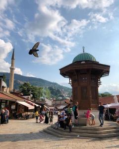 Un oiseau survolant une foule de gens dans un marché dans l'établissement Apartment Green, à Sarajevo