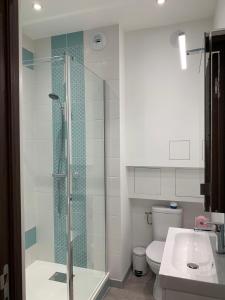 een badkamer met een douche, een toilet en een wastafel bij T2 La Singulière in Sète