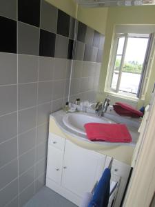 La salle de bains est pourvue d'un lavabo et d'une fenêtre. dans l'établissement Le Camélia, à Ruillé-Froid-Fonds