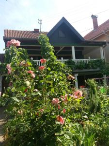 un giardino con fiori rosa di fronte a una casa di Traianov most a Kladovo Altre 9 foto