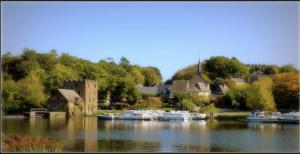a group of boats are docked in a river at MARA RIVIERE Gîte d'étape sur la Vélo Francette in La Jaille-Yvon +5 photos
