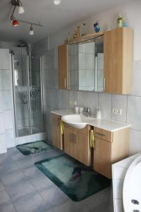 a bathroom with a sink and a shower at Haus Elisabeth in Neuschönau