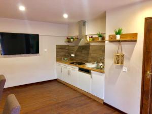 Kuchyň nebo kuchyňský kout v ubytování Allium Apartment