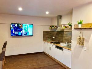 Kuchyň nebo kuchyňský kout v ubytování Allium Apartment
