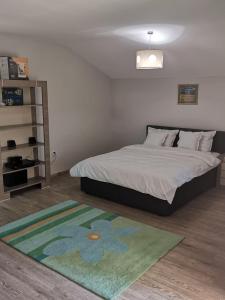 1 dormitorio con cama y alfombra verde en Vikings Grigo Apartaments en Cluj-Napoca