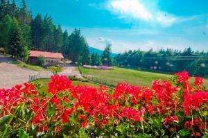 Photo de la galerie de l'établissement Gasthof Schneiderwiesen, à Laives