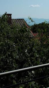Příroda nedaleko apartmánu