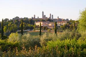 a view of the city from a park at Locanda Viani in San Gimignano