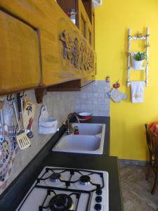 una cucina con piano cottura e lavandino di ETNA Family a Belpasso