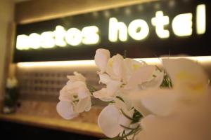 a bunch of white flowers in front of a store at Nostos Hotel in Afitos