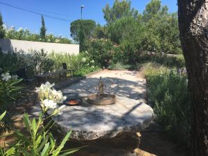 a garden with a fountain in the middle of a yard at villa Sant-Anna in Saint-Tropez