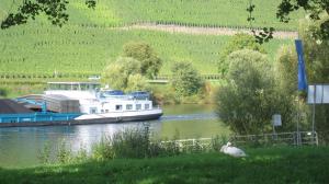 布劳讷贝格2type4 - Apartments的船停靠在田野旁边的河流上