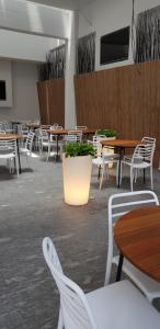 una sala da pranzo con tavoli, sedie e una pianta in vaso di Quinto Elemento a Città del Messico