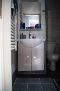 La salle de bains est pourvue d'un lavabo et de toilettes. dans l'établissement Grey & Cozy Luxury Apartment, à Thessalonique
