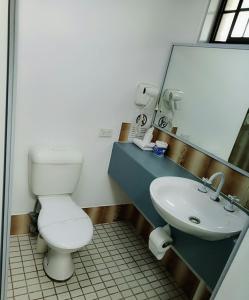 a bathroom with a toilet, sink and mirror at Excelsior Motor Inn in Port Macquarie