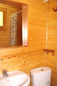 a bathroom with a toilet and a sink and a mirror at Camping Abadesses in Sant Joan de les Abadesses