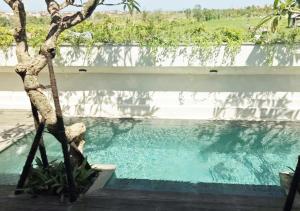 Gallery image of Rimbun Canggu Villa in Canggu