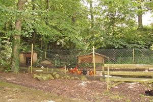 A garden outside Camping Abadesses