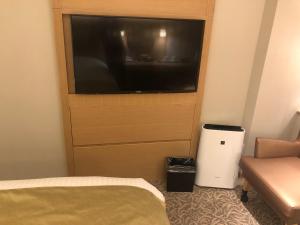 TV a/nebo společenská místnost v ubytování Kobe Luminous Hotel Sannomiya