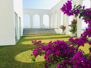 a white building with purple flowers in the yard at De Saram Residencies in Colombo