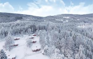 an aerial view of a ski lodge in the snow at Amazing Home In Sysslebäck With Kitchen in Sysslebäck
