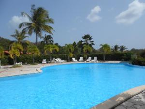 a large blue swimming pool with palm trees in the background at Entre Mer et Verdure in Sainte-Anne