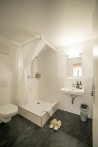 a bathroom with a shower and a toilet and a sink at Hotel Mokka Laufenburg in Laufenburg