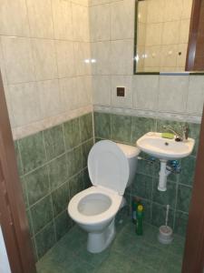 y baño con aseo y lavamanos. en Apartmany Pohoraly en Rokytnice nad Jizerou