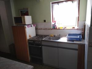 cocina con fogones, fregadero y microondas en Apartmany Pohoraly en Rokytnice nad Jizerou