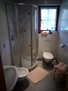 ドッビアーコにあるTrogerhofのバスルーム(シャワー、トイレ、シンク付)