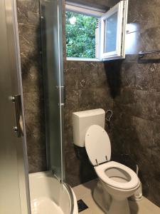 a bathroom with a toilet and a sink and a window at Country house Plitvice in Plitvica selo