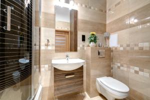 a bathroom with a sink and a toilet and a mirror at Angels Home Toruń in Toruń +24 photos