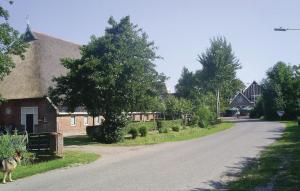 a dog standing on the side of a road at Beautiful Apartment In Paesens With Kitchen in Paesens