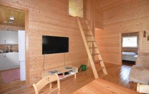 メレルードにあるHoliday home Anolfsbyn Mellerudの木製の壁のリビングルーム(テレビ付)