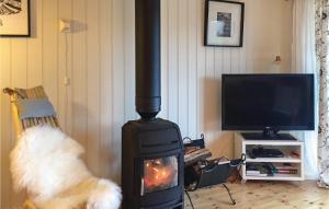 a wood stove in a living room with a tv at Nice Home In senfjorden With 3 Bedrooms in Vollen