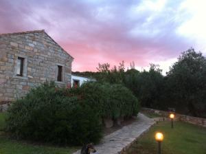 a dog sitting in front of a house with a sunset at Il Vecchio Ginepro in Arzachena