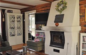 梅勒呂德的住宿－Lovely Home In Mellerud With Kitchen，一间客厅,客厅中央设有壁炉
