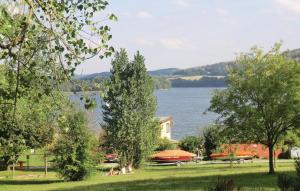 Blick auf einen See von einem Park mit Bäumen in der Unterkunft Ferienhaus Thiergartener Str. T in Taltitz