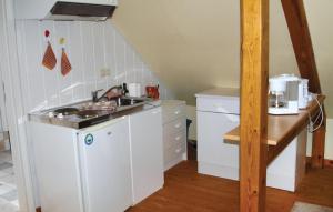 a small kitchen with a sink and a counter at Gorgeous Apartment In Storkow Ot Selchow With Kitchen in Selchow