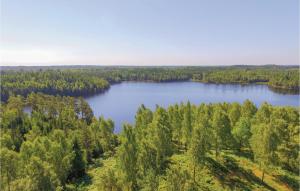 une vue aérienne sur un lac dans une forêt dans l'établissement Mrden, à Fegen