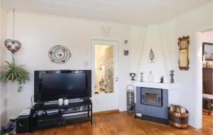 a living room with a tv and a fireplace at Cozy Home In sensbruk With Kitchen in Åsensbruk