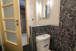 a small bathroom with a toilet and a mirror at Krynica Apartamenty Rodzinny Apartament w Centrum 43 in Krynica Zdrój +16 photos