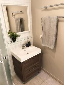 a bathroom with a sink and a mirror at Namelis Palangoje in Palanga