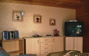 ein Wohnzimmer mit einem TV auf den Schränken in der Unterkunft Ferienhaus Hohendorfer Chaussee Z in Zarnitz