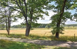 a field with trees and a dirt road at Stunning Home In Säffle With Sauna in Säffle